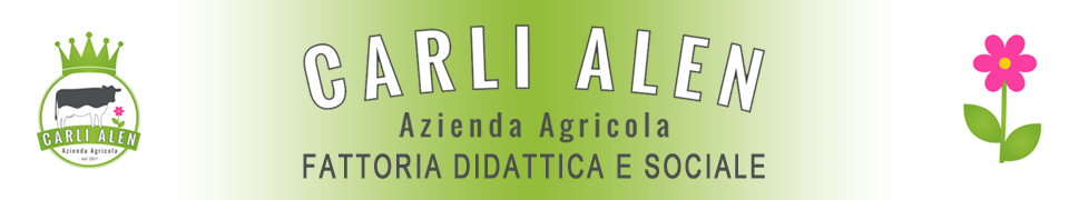 logo mobile